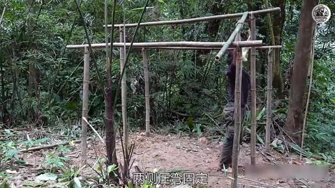 Deep Jungle Survival with Nonstop Remix