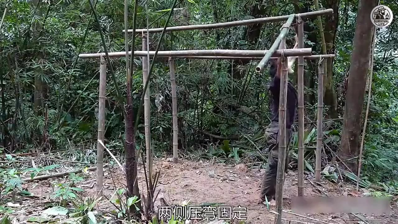 Deep Jungle Survival with Nonstop Remix