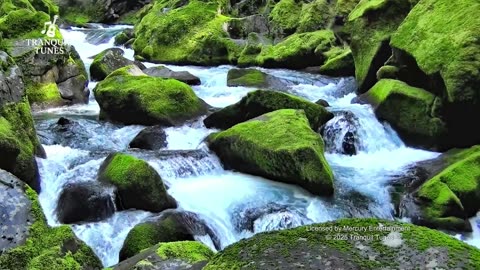 5 Minutes of Peaceful Piano Music, Relaxing Mind Clearing Music, Quick Piano Music, Relaxing Music