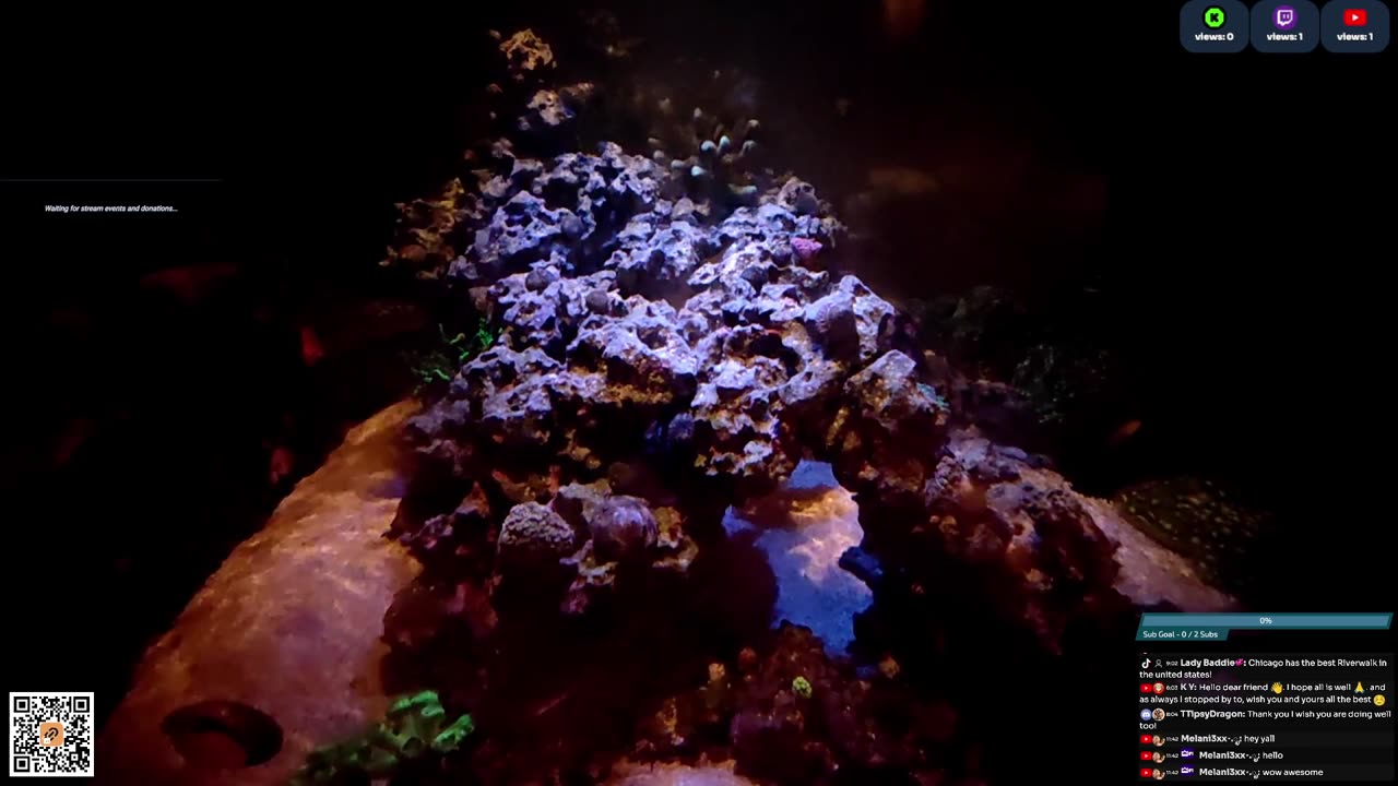 24/7 Real Live Reef Stream
