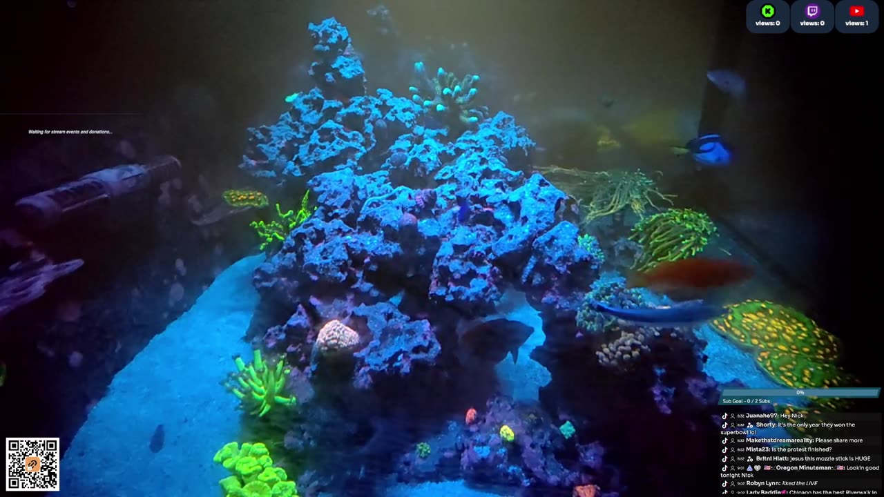 24/7 Real Live Reef Stream