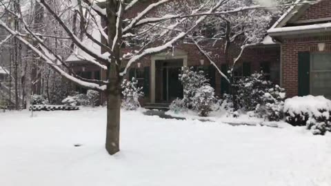 December 16, 2019 - Snow Starts Falling Again at My House
