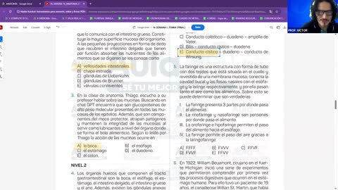 AULA 20 REGULAR 2026 - 1 | Semana 10 | Anatomía