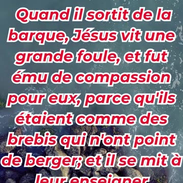 “La Compassion du Bon Berger” marc 6:34. #shortvideo #youtubeshorts #ytshorts #yt #shorts #youtube