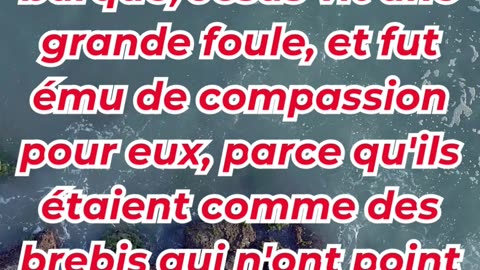 “La Compassion du Bon Berger” marc 6:34. #shortvideo #youtubeshorts #ytshorts #yt #shorts #youtube