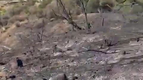 Video shows Lachman fire still smoldering before becoming the Palisades fire in LA