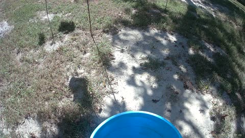 📹 Protect What Matters | Record in Crystal Clear 4K