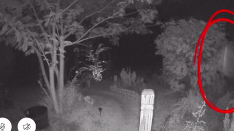 😱📹 What Is This Weird Thing I Just Caught on My Ring? | TheHauntingHour