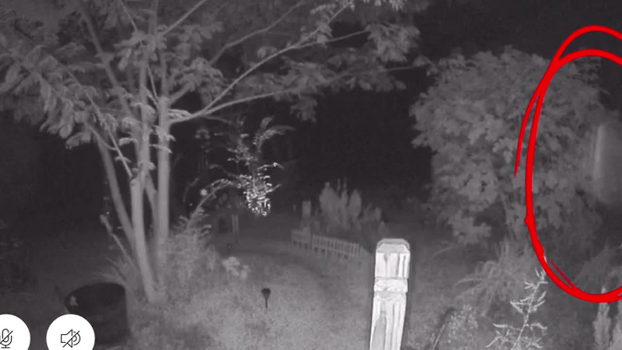 😱📹 What Is This Weird Thing I Just Caught on My Ring? | TheHauntingHour
