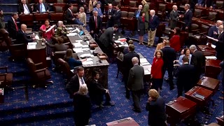 Rival bills to end US government shutdown fail in Senate