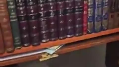 Jews digging tunnels