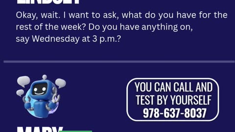 AI Voice Agent Demo for a Plumbing Company