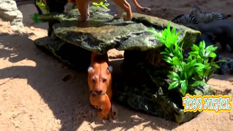 Byson Drinking Water on the Edge of the Desert Accompanied by a Bull
