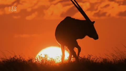 24 hodin v divocine - 1. díl