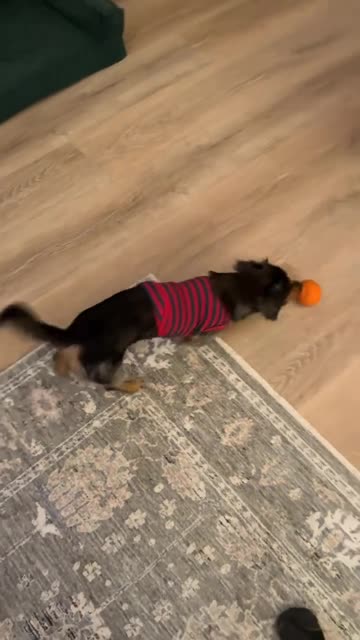 Not claustrophobic that’s for sure 😊