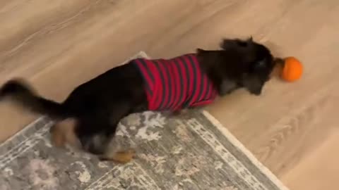 Not claustrophobic that’s for sure 😊