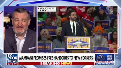 Ted Cruz: They have 'LOST THEIR MINDS!'