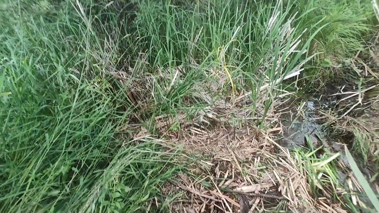 July 23, 2025 - Pulling Traps, Something Is Fishy...