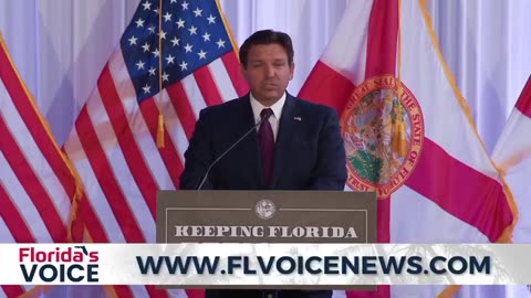 Florida Governor Ron DeSantis announces the creation of DOGE Task Force in Florida