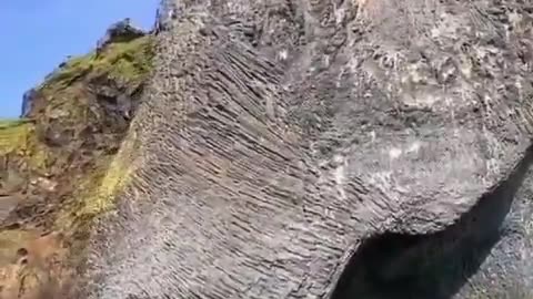 PETRIFIED GIANT ELEPHANT