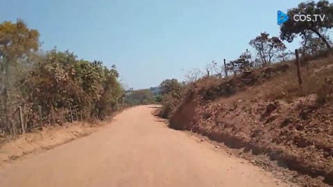 A caminho de casa