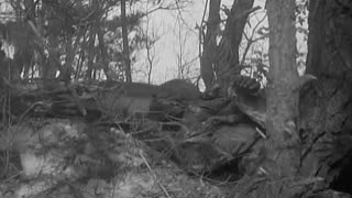 STORY OF HILL 704, ... - STORY OF HILL 704, N. OF INCHON, KOREA ; ATTACK ON HILL 584, - 111-adc-8718