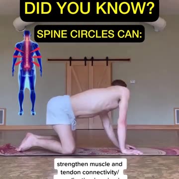 Spinal circles