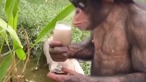Seems Natural