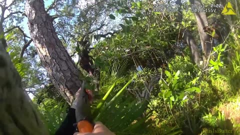 MDSO releases video of deputy shooting double-homicide suspect hiding in a tree