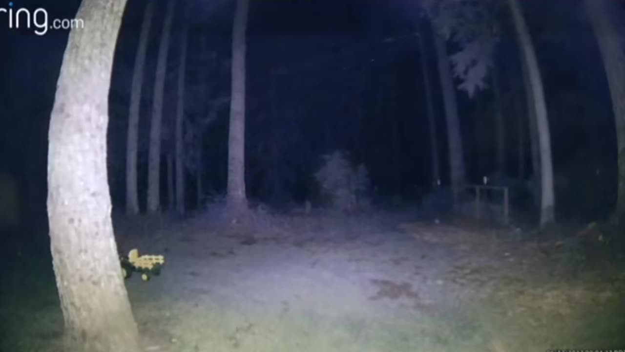 😨👻 Another Skinwalker Sighting? | TheHauntingHour