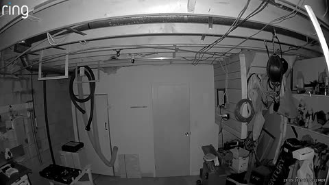 👻🐶 Ghost Activity in My Basement? Wolfie is Scared... | TheHauntingHour
