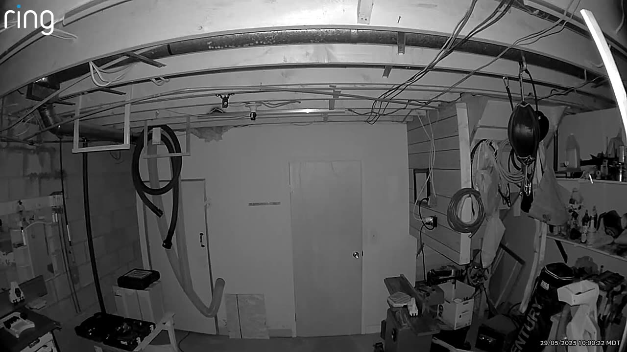 👻🐶 Ghost Activity in My Basement? Wolfie is Scared... | TheHauntingHour