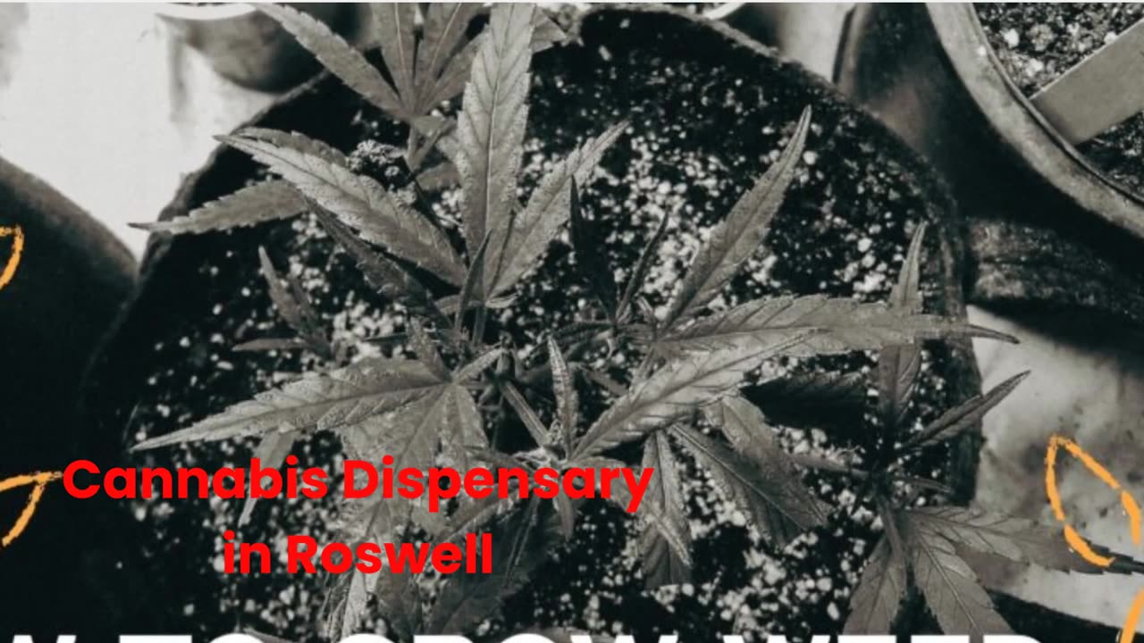 Dreamz Dispensary : Cannabis Dispensary in Roswell, NM