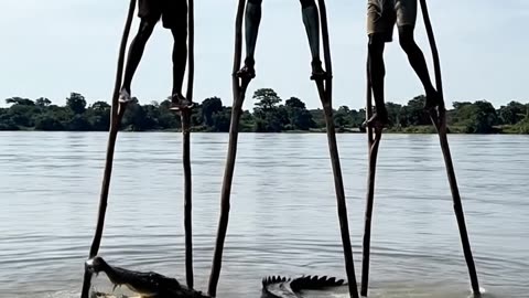 They Found a crocodile #Africa