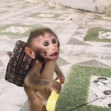 Baby money eating 😋 🤪 😌