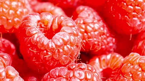 Late Hour Lofi House Blend