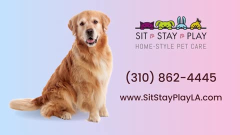 Dog walker Santa Monica * Call (310) 862-4445 | Sit Stay Play