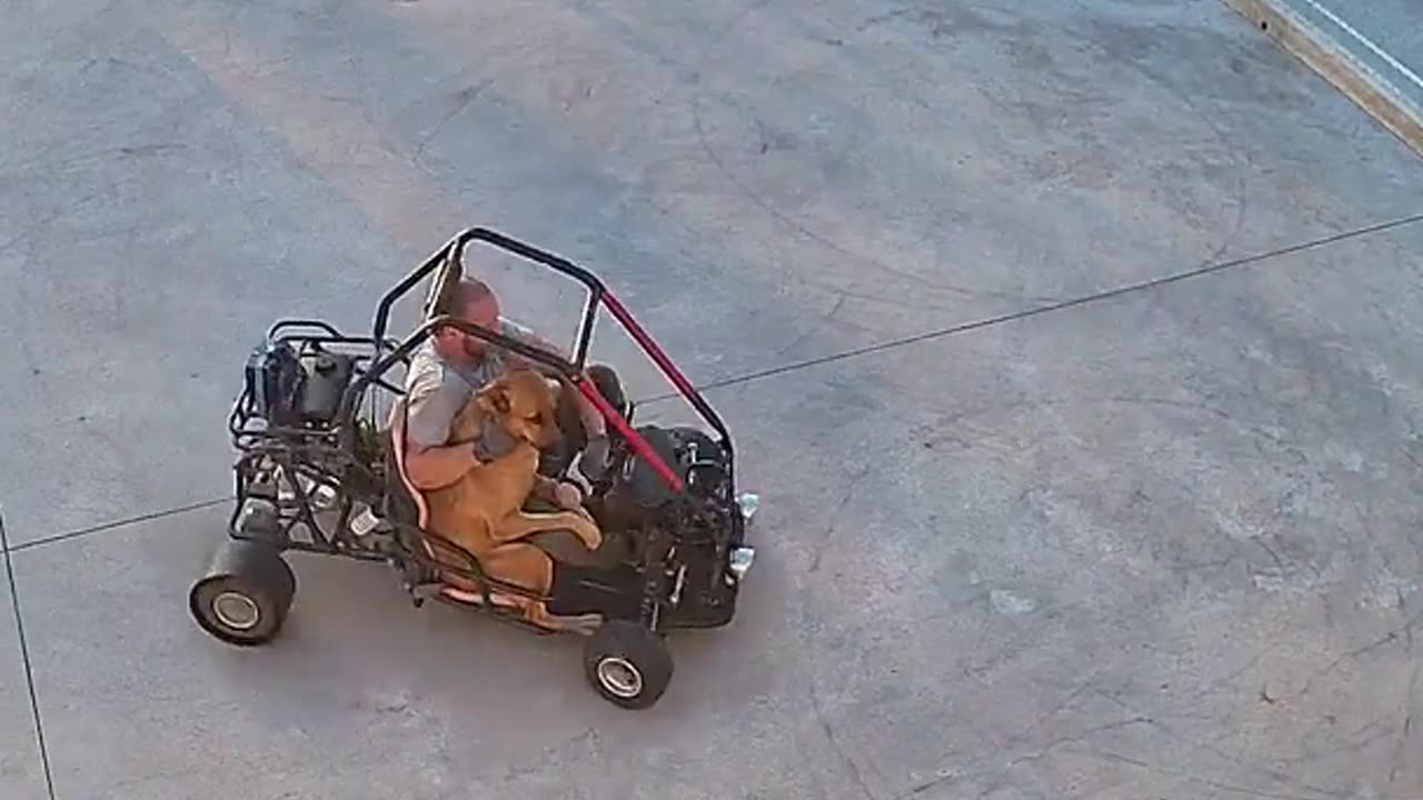 Drifting With My Dog