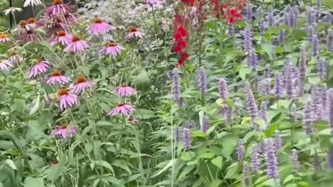 NATURES PATTERNS HEAL DARKNESS