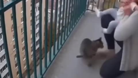 Cute Baby Playing with Cat 🍼🐾 | Funny Baby & Cat Moments 2025