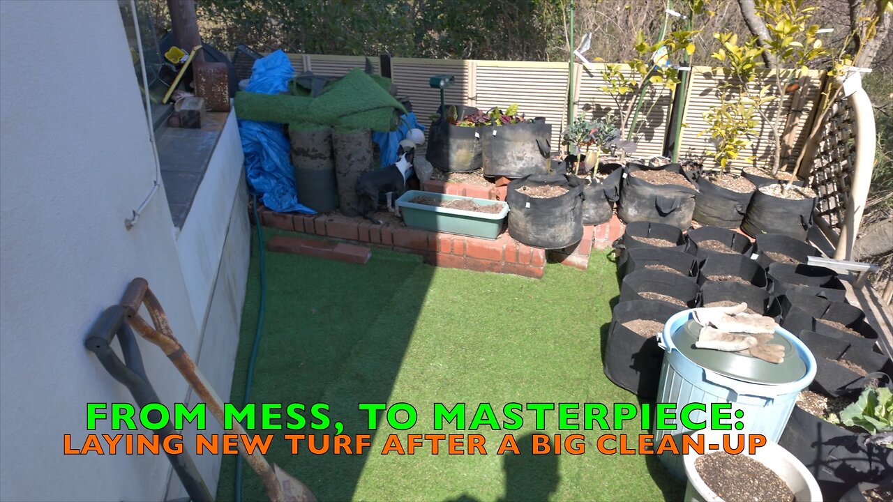 From Mess, to Masterpiece: Laying New Turf After a Big Clean-up