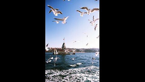 What about this view?