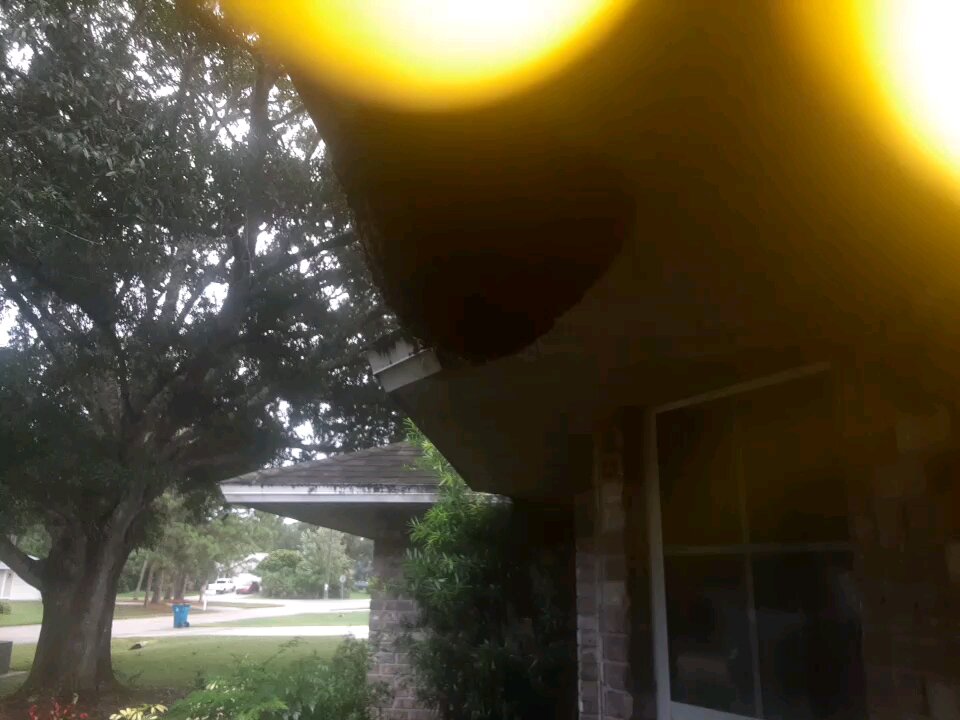 sept 30 swarm