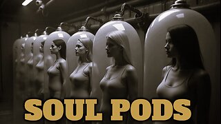 Hyperdimensional Beings Can Incarnate Into This Matrix From Soul-Pods And Immersion-Chambers