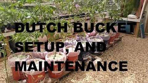 DUTCH BUCKET SETUP, AND MAINTENANCE