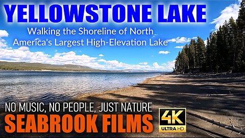 Yellowstone Lake: Walking the Shoreline of North America's Largest High-Elevation Lake