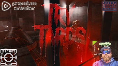 SCP SECRET LAB WITH TOO MANY STREAMERS