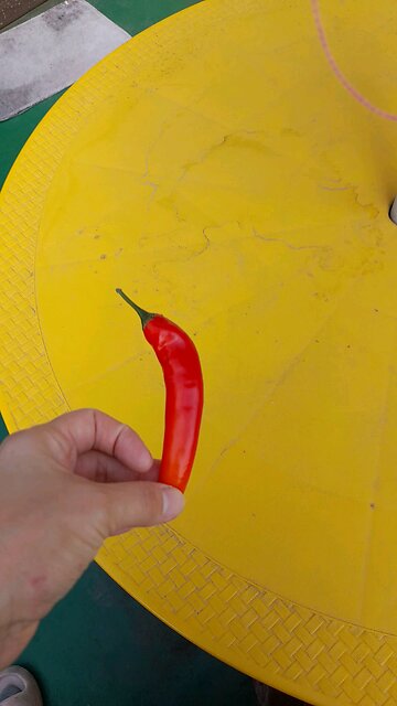 20251029. God With Me.