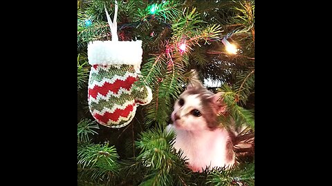 Kitty's First Christmas - 2024 - REV-01