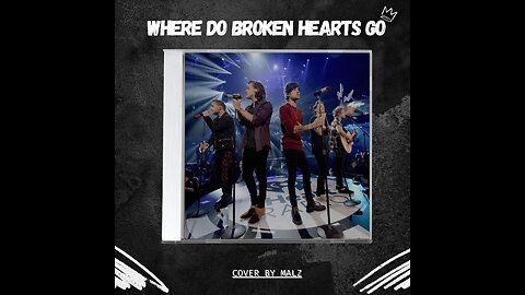 One Direction - Where Do Broken Hearts Go (Cover By MALZ)